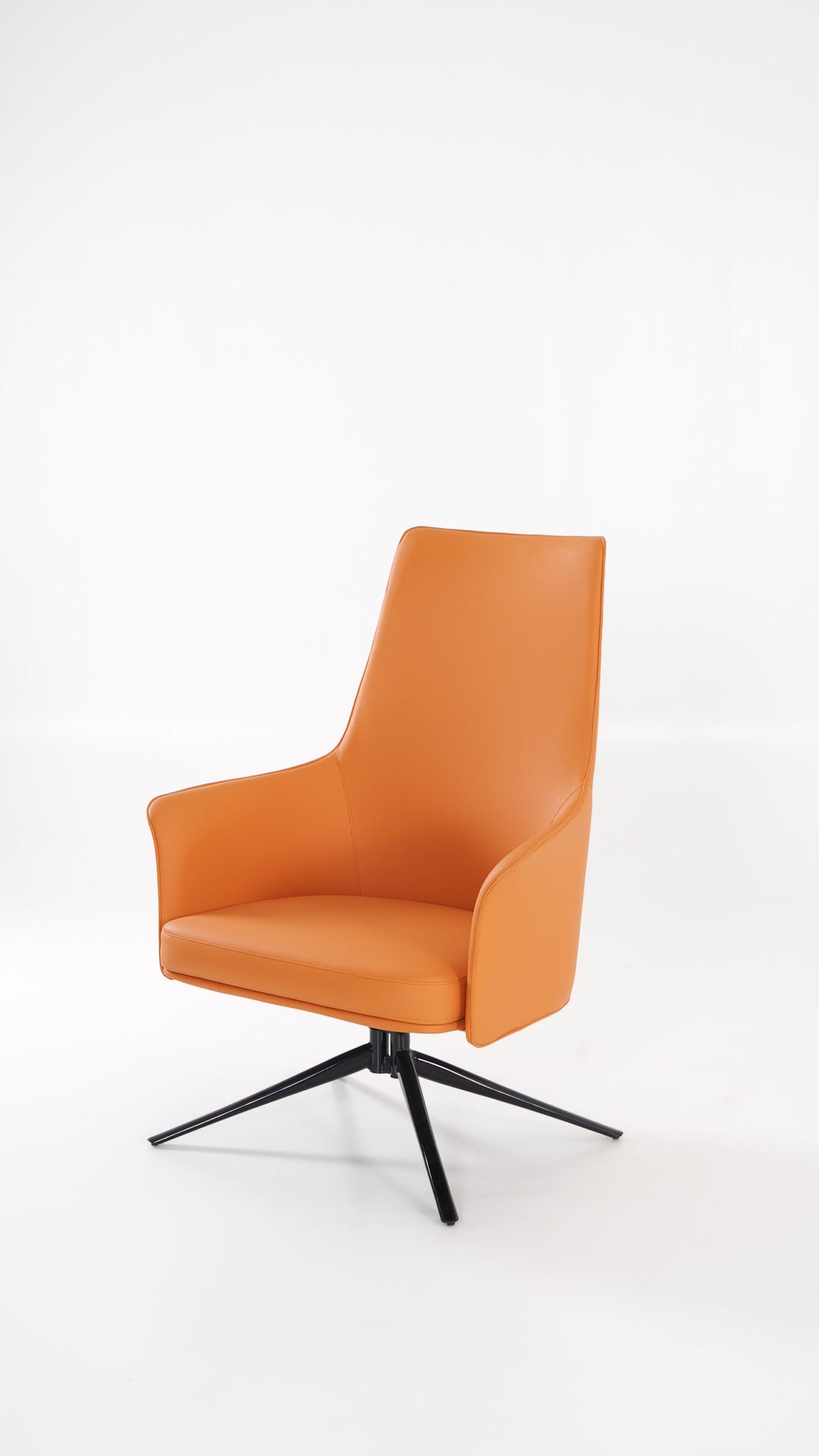 High Back Lounge Chair